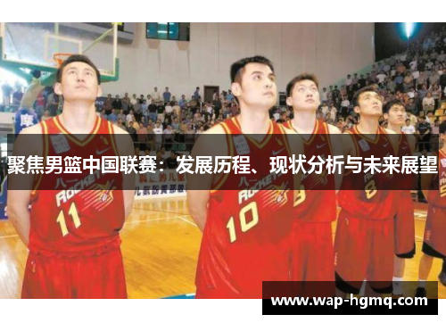 聚焦男篮中国联赛：发展历程、现状分析与未来展望