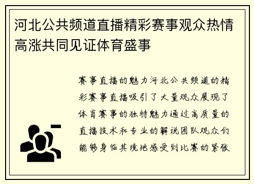河北公共频道直播精彩赛事观众热情高涨共同见证体育盛事